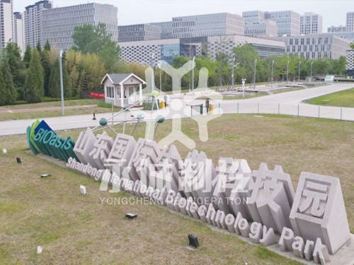 山東國際生物科技園